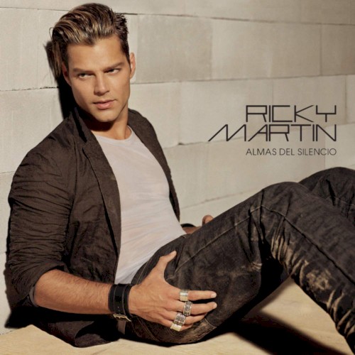 Ricky Martin Feat. Fat Joe & Amerie